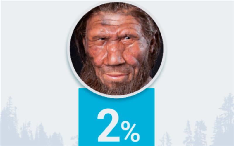 Tu lado salvaje: ¿Qué significa realmente tu porcentaje de ADN Neandertal?