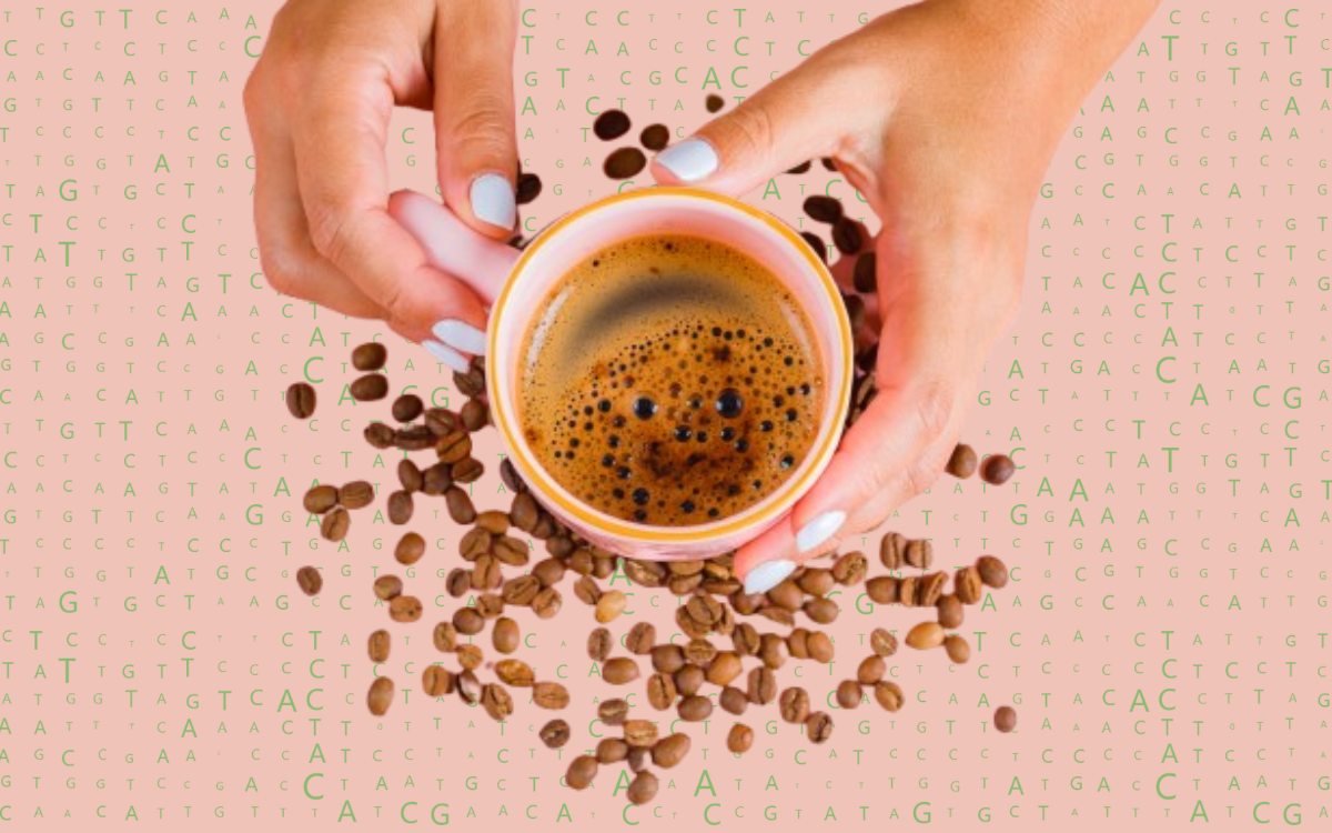 ¿Cómo me afecta la cafeína según mi ADN?