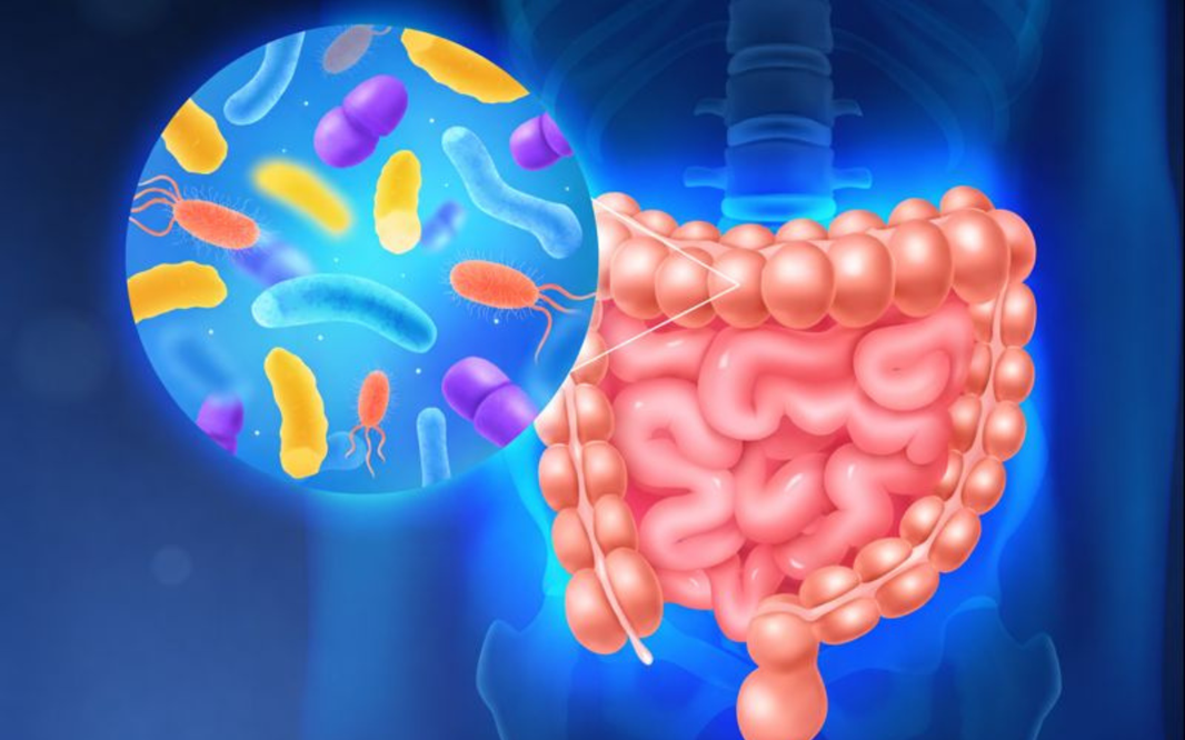 ¿Heredamos la microbiota de nuestros padres? La conexión invisible en tu ADN