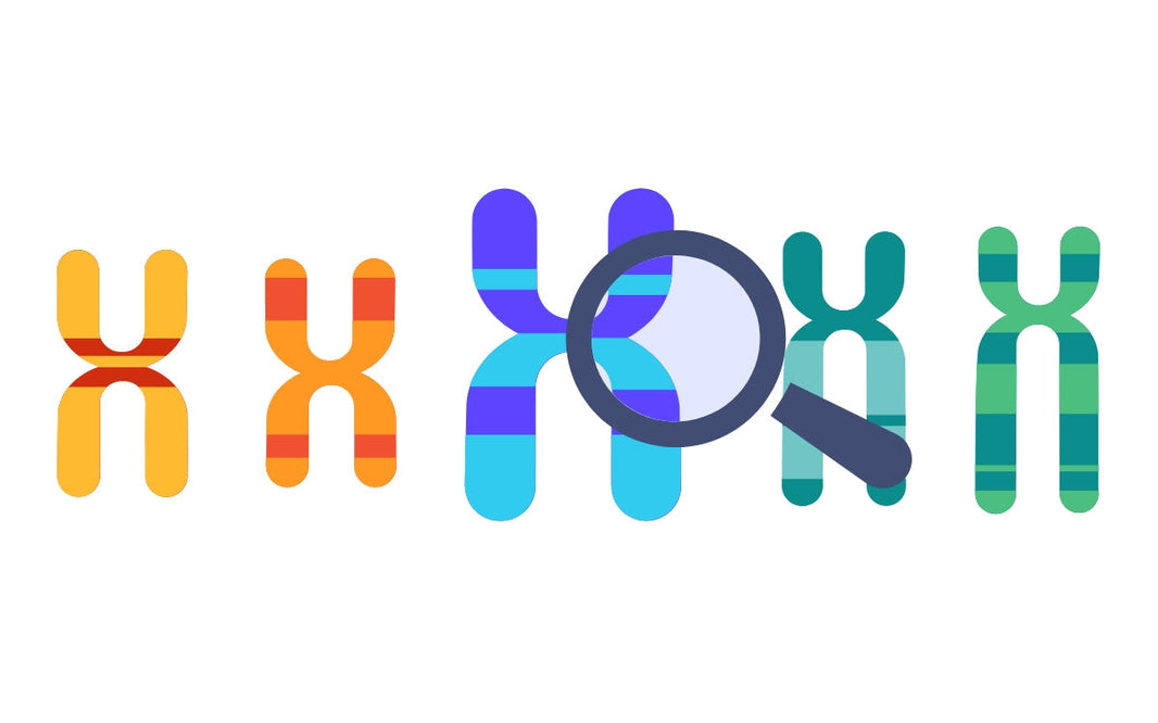 La importancia de hacerse un test genético