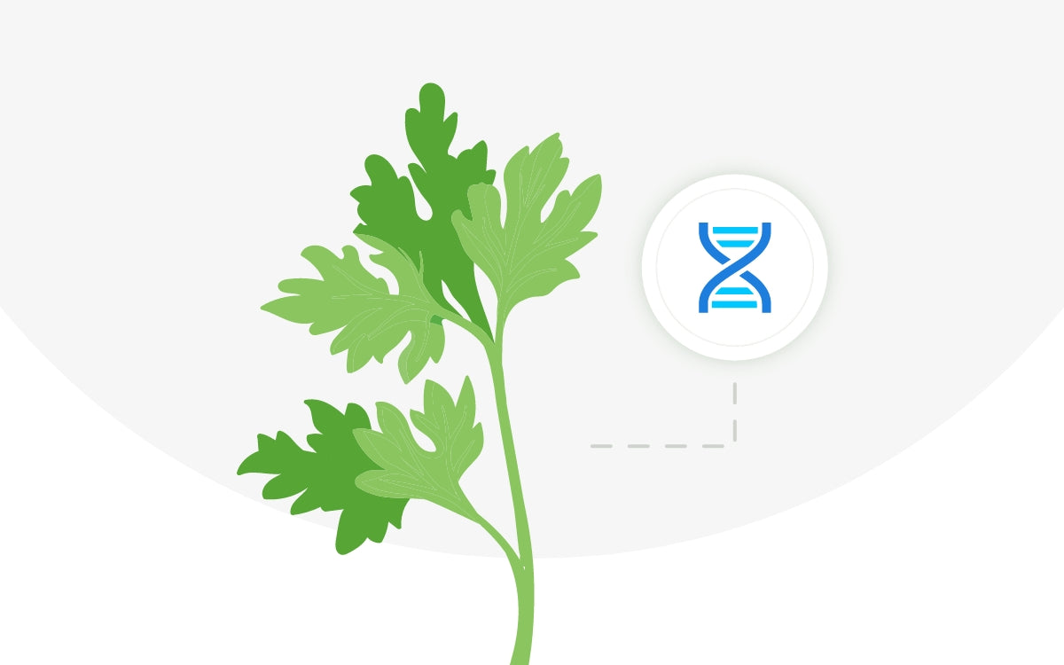 ¿Eres un supertaster? Descúbrelo