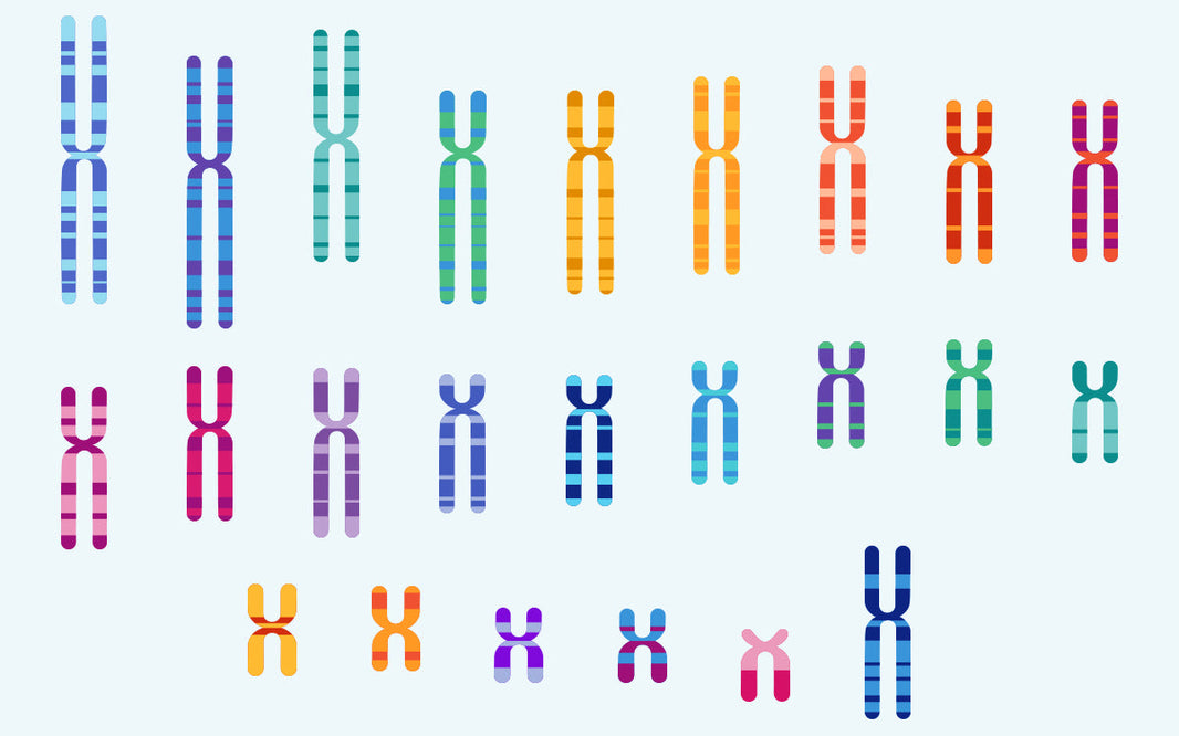 5 razones para hacerte un análisis genético