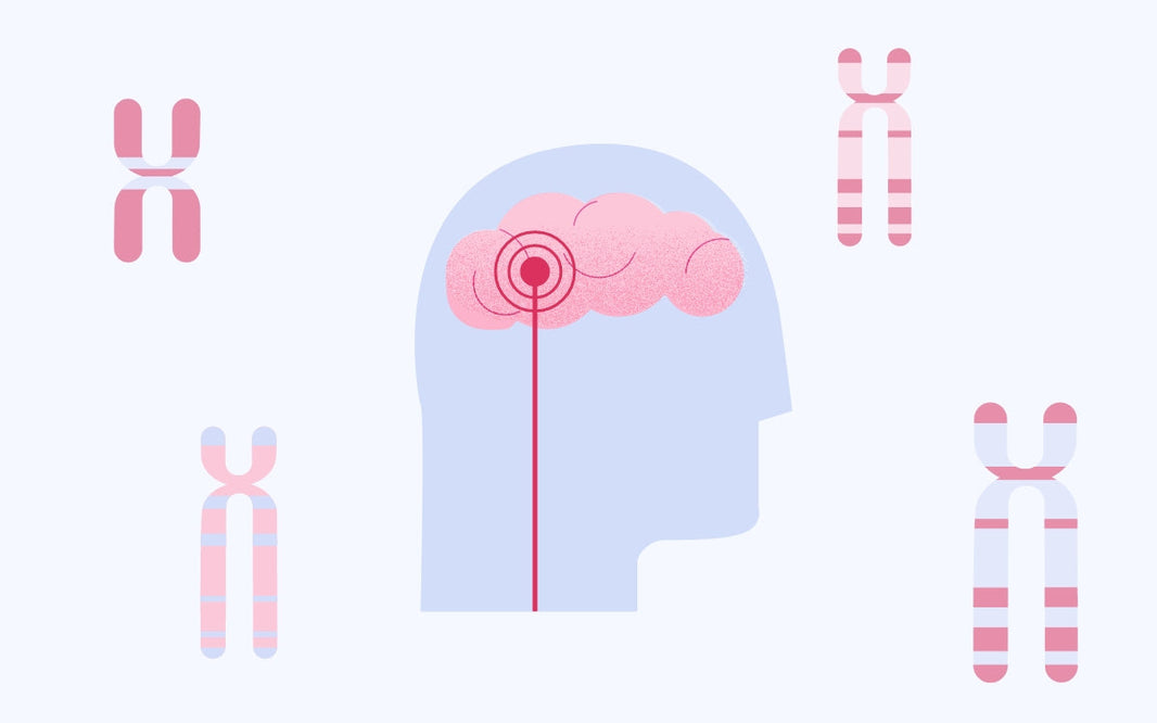 El ictus y su prevención gracias a la genética