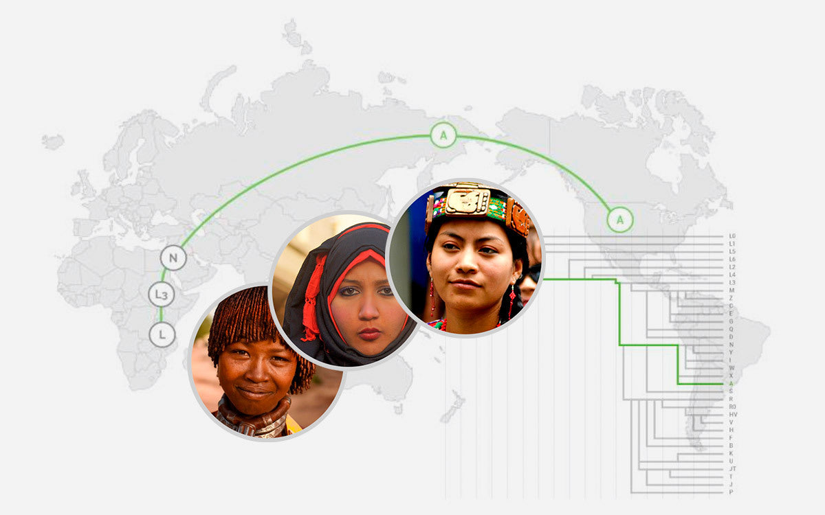 Ampliamos nuestro test de ADN con información sobre tu linaje materno