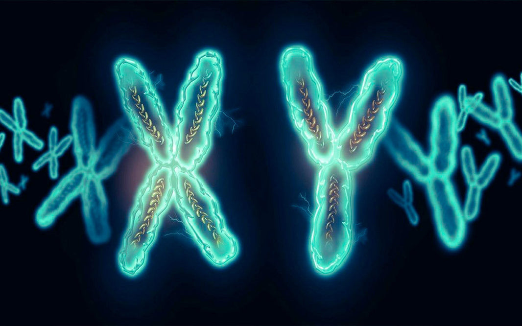 ¿Qué información útil se puede extraer en un estudio de compatibilidad genética?