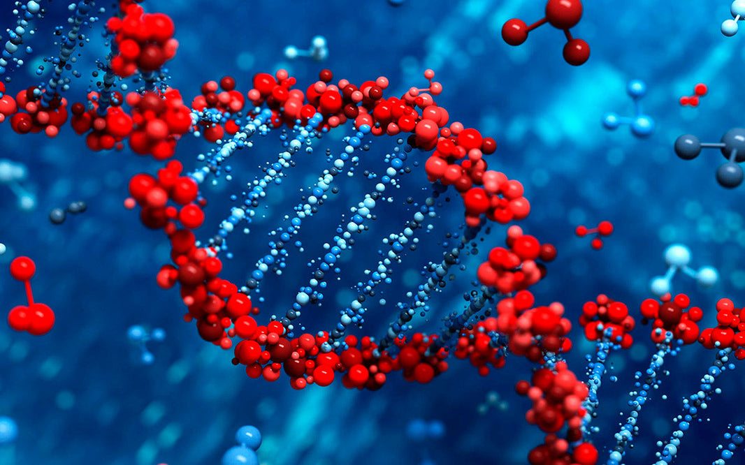 Diferencias entre genotipado y secuenciación