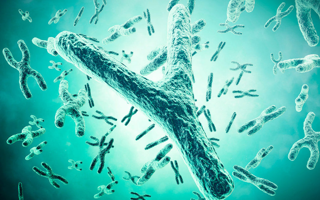 Enfermedades recesivas y cromosoma Y