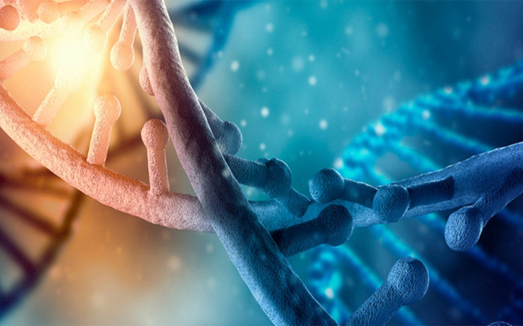 ¿Por qué hay que hacerse un test genético?