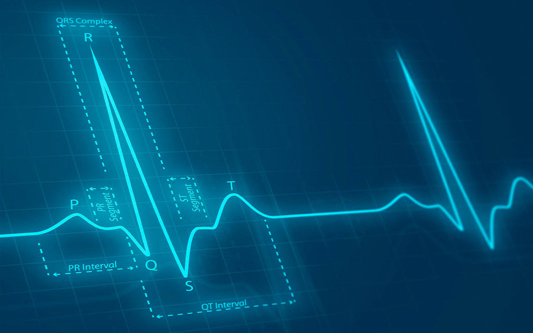 ¿Qué puedo saber sobre mí con el Raw Data Genético?