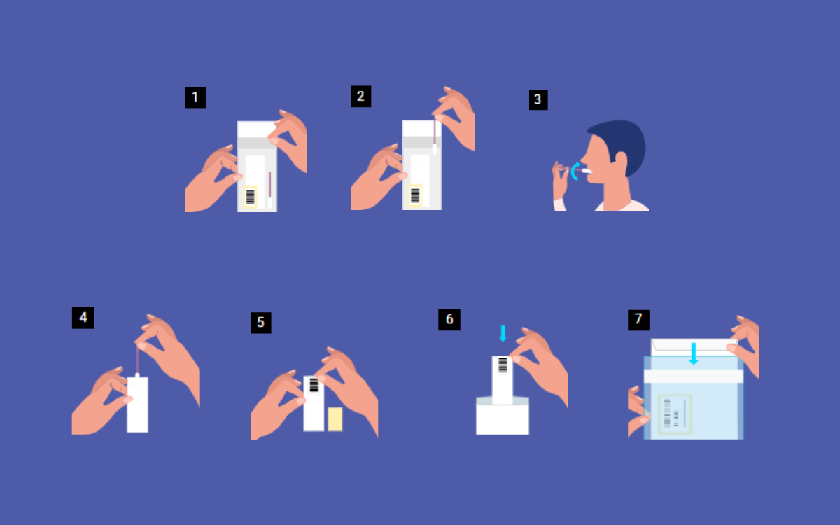 DNA Analysis: What happens to your saliva sample in the laboratory ...