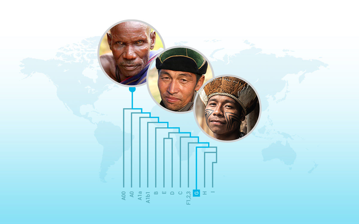 Ampliamos nuestro análisis genético con información sobre tu linaje paterno